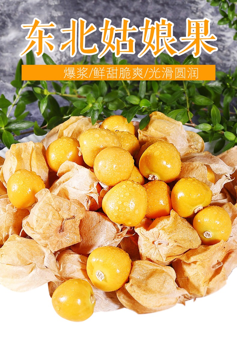 东北黄姑娘果当季新鲜灯笼果金姑娘小金豆水果精选1斤装