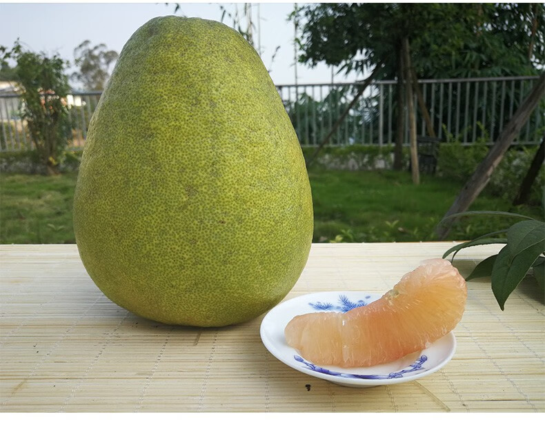 四川正宗广安龙安蜜柚 红心蜜柚现摘新鲜水果文旦柚孕妇小孩水果礼盒
