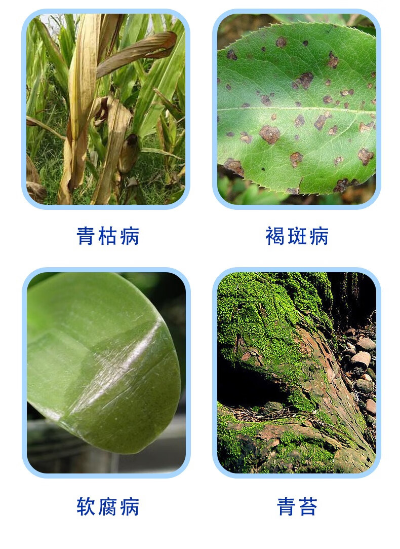 广农汇泽80乙蒜素苹果树褐斑病农药杀菌剂植轻松500g
