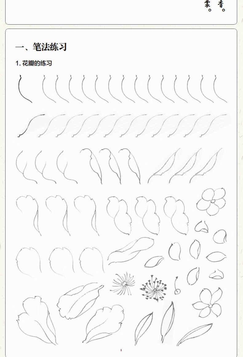 正版中国画白描入门篇国画临摹白描画谱底稿工笔画零基础白描入门梅兰