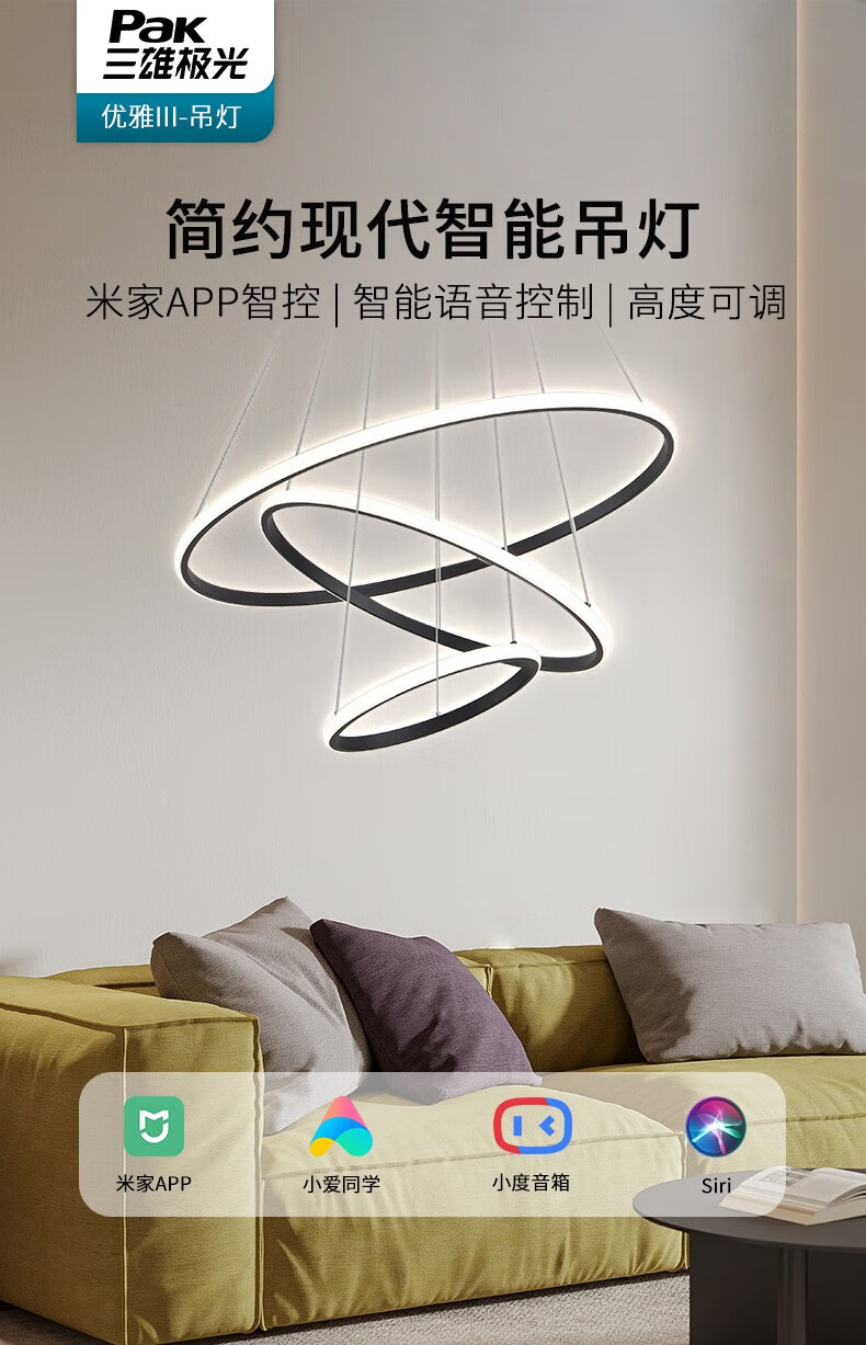 三雄极光 智能客厅吊灯北欧后现代简约餐厅卧室轻奢艺术吊灯 【两室