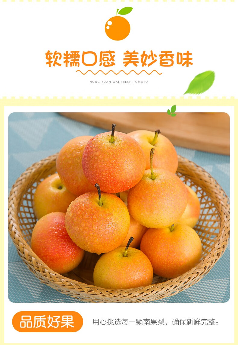 东北南果梨 鞍山南国梨辽宁特产香水梨新鲜水果 5斤 【中大果】单果80