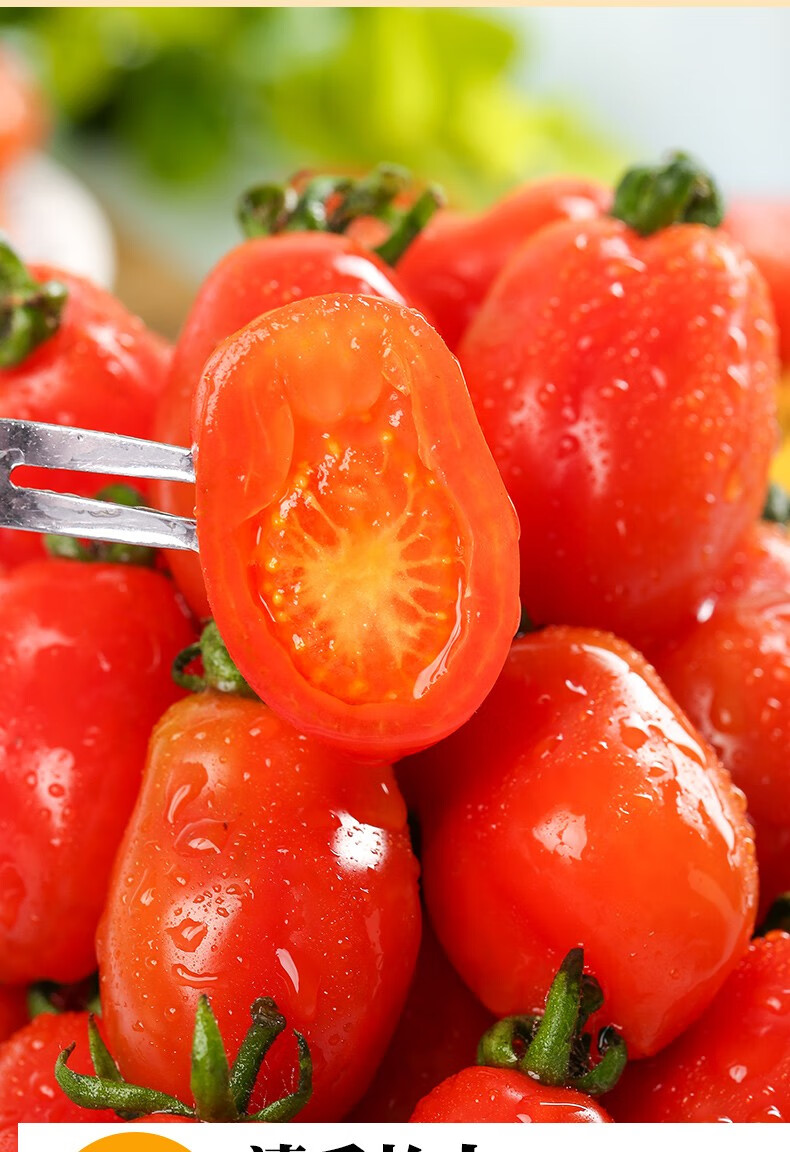 顺丰丹东409花生小柿子新鲜圣女果小番茄碱地西红柿3斤