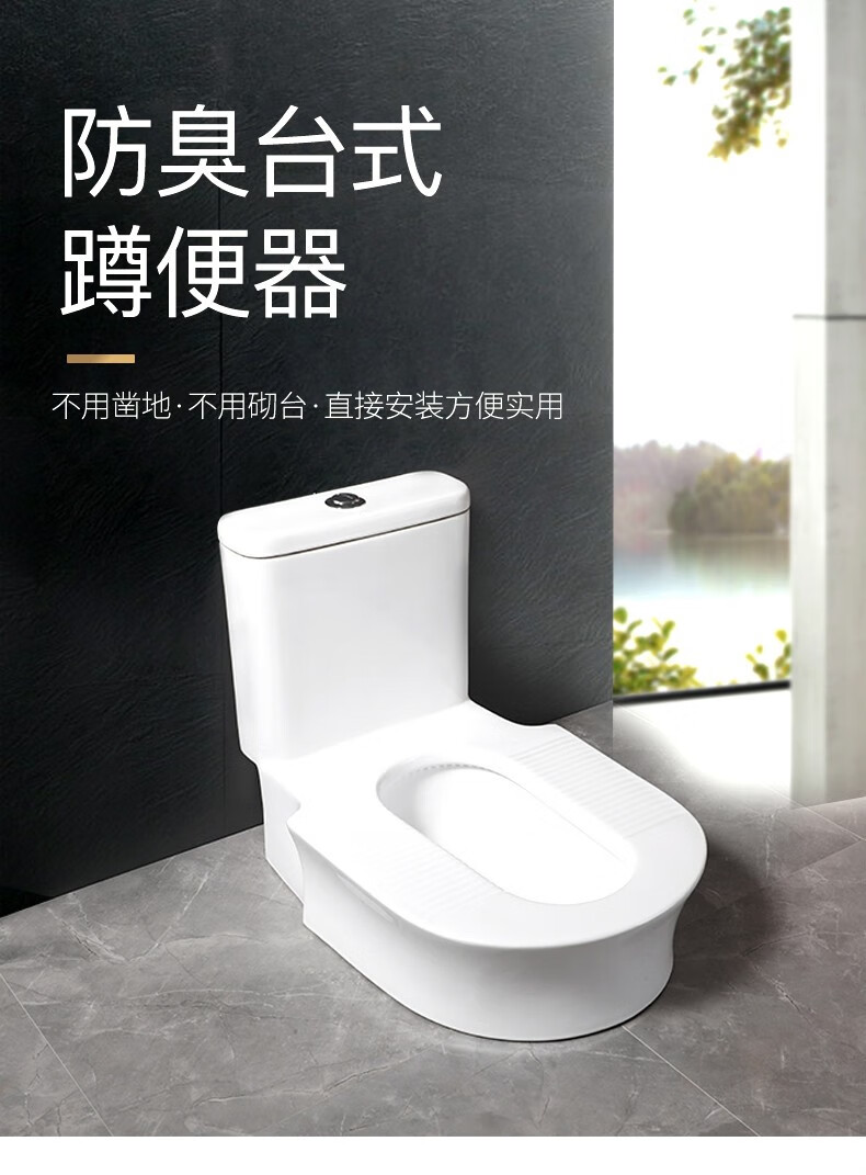 百梦羊 蹲坐两用马桶一体坐便器改蹲便器换蹲厕二合一非可蹲可坐蹲坐