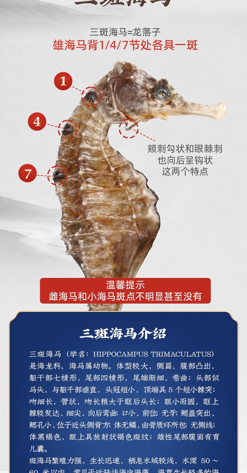 海马药材干货三斑海马公母一对干海马药典中药精制饮片儿童营养煲汤