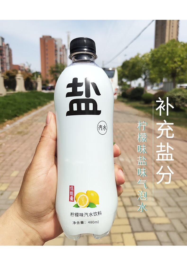 【定远馆】水云生 盐汽水 气泡水 柠檬味碳酸饮料 咸味解渴防暑整箱