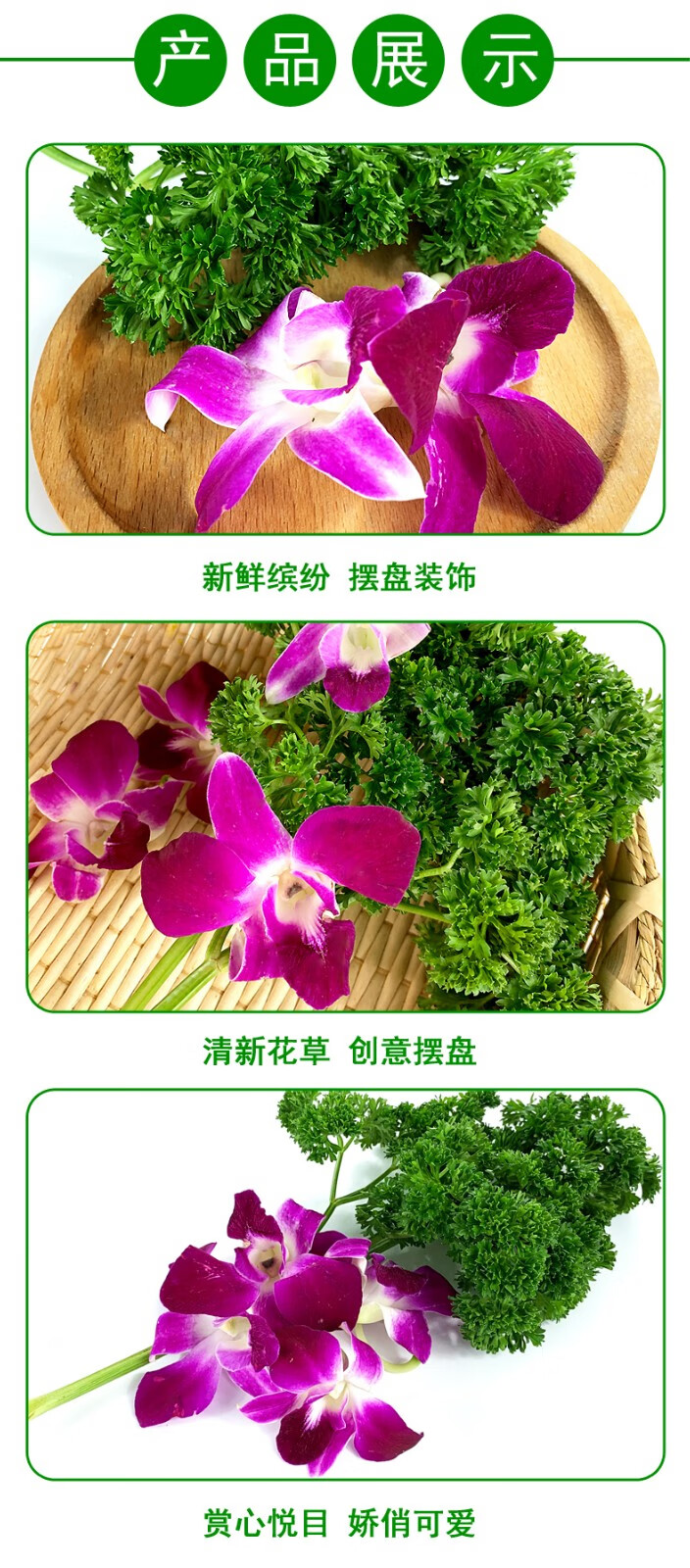 名称:【顺丰】新鲜杨兰花 荷兰芹法香洋兰花组合酒店火锅摆盘装饰材料