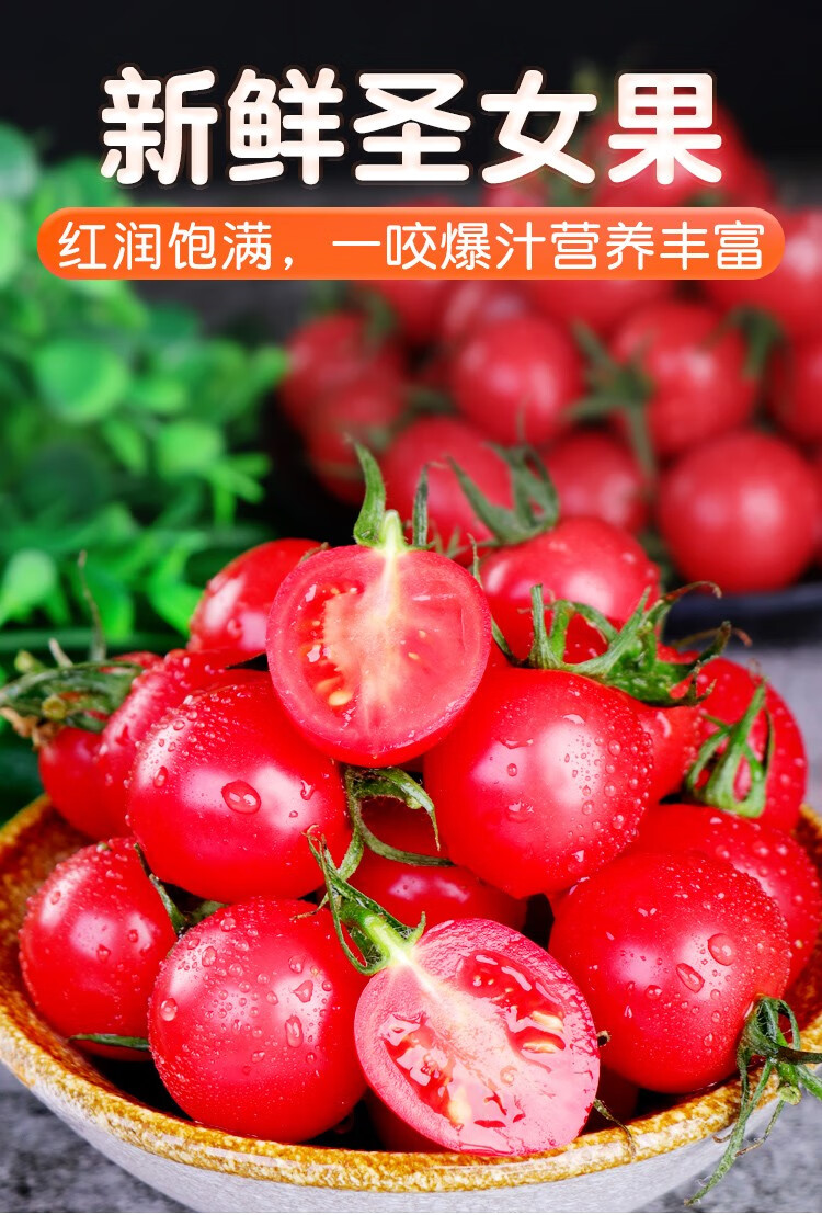 正宗山东陵水小玲珑千禧小番茄千玺小番茄山东省千喜果2500g