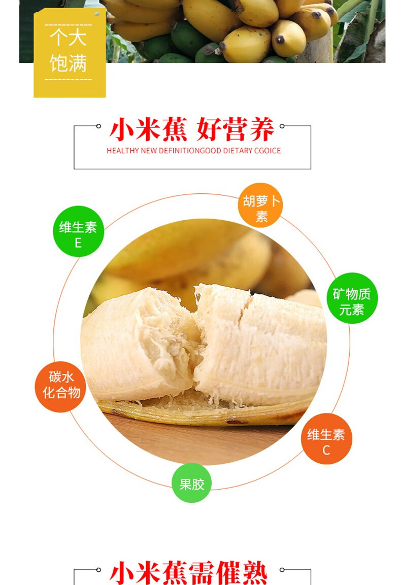 54322-黔食荟 北纬22°新鲜国产香蕉小米蕉 10斤整箱装-详情图