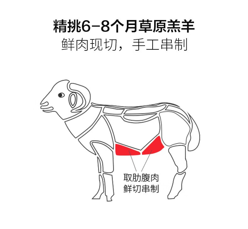 木屋烧烤食材羊腩肉串烤串羊肉烧烤串串户外半成品10串