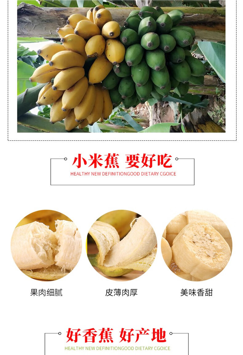 54322-黔食荟 北纬22°新鲜国产香蕉小米蕉 10斤整箱装-详情图