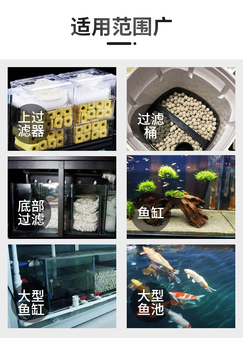 鱼缸细菌屋摆放图图片