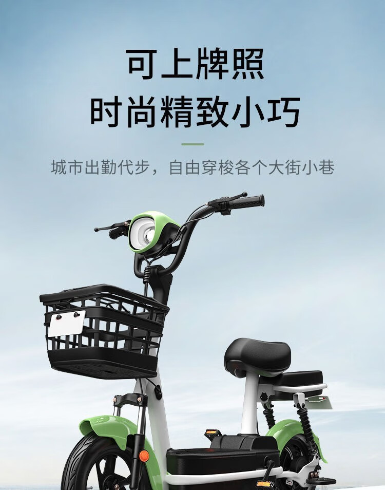 22年新国标电动自行车新款小型电动车成人上班代步上学买菜专用车铅酸