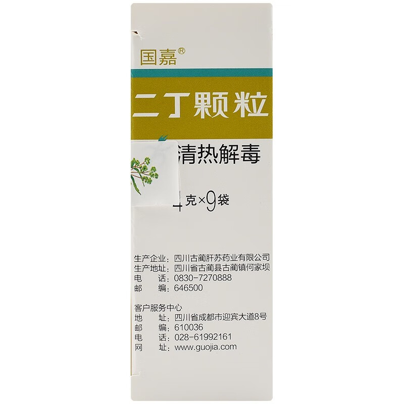 国嘉二丁颗粒4g9袋盒清热解毒用于热疖痈毒咽喉肿痛风热火眼1盒装约3