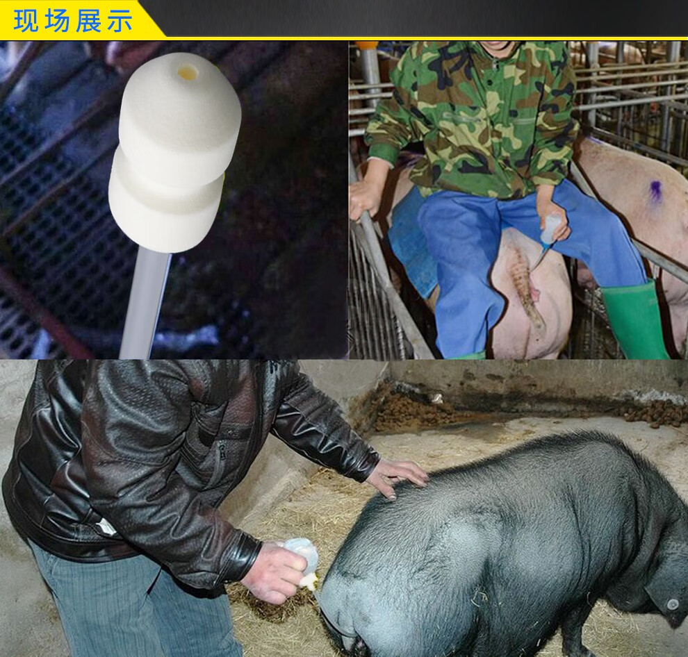 牧斯德 输精管瓶一次性猪用输精管猪人工受精初产100套输精管输精瓶