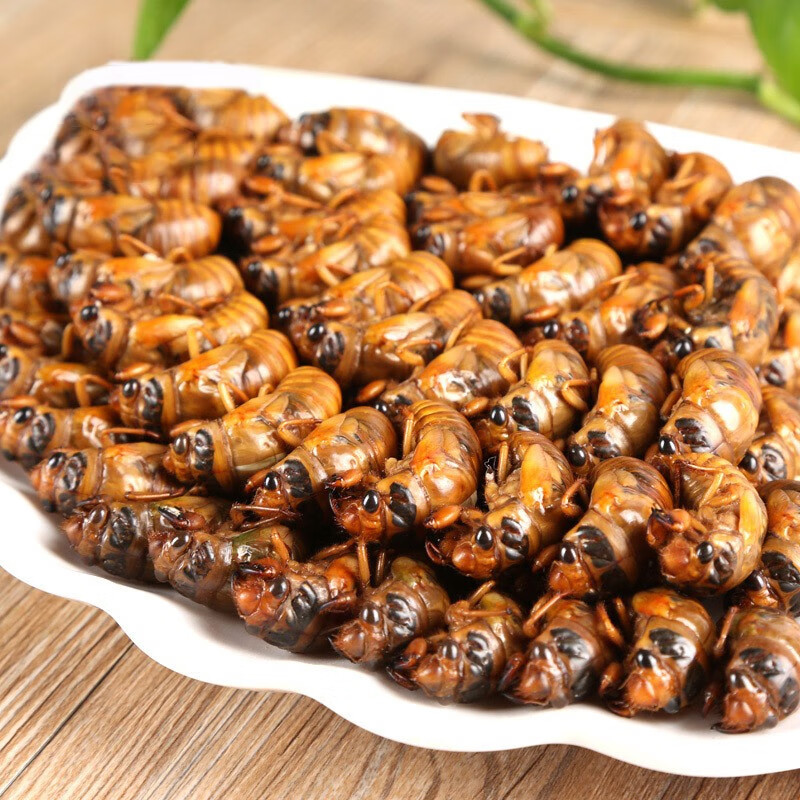 轻恋顺丰新鲜知了猴金蝉爬叉蝉金蝉子知了龟唐僧肉山东特产1kg2斤