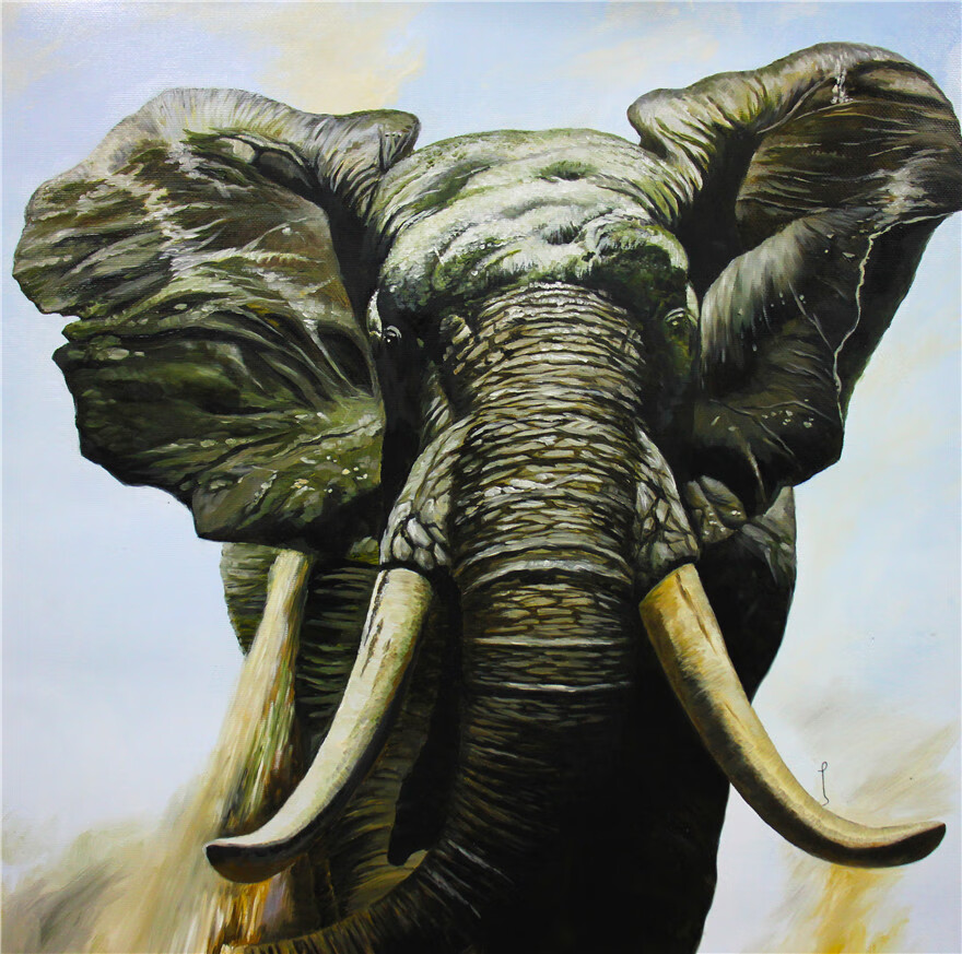 朝鲜一级画家 金钟守 《大象》1049 动物油画