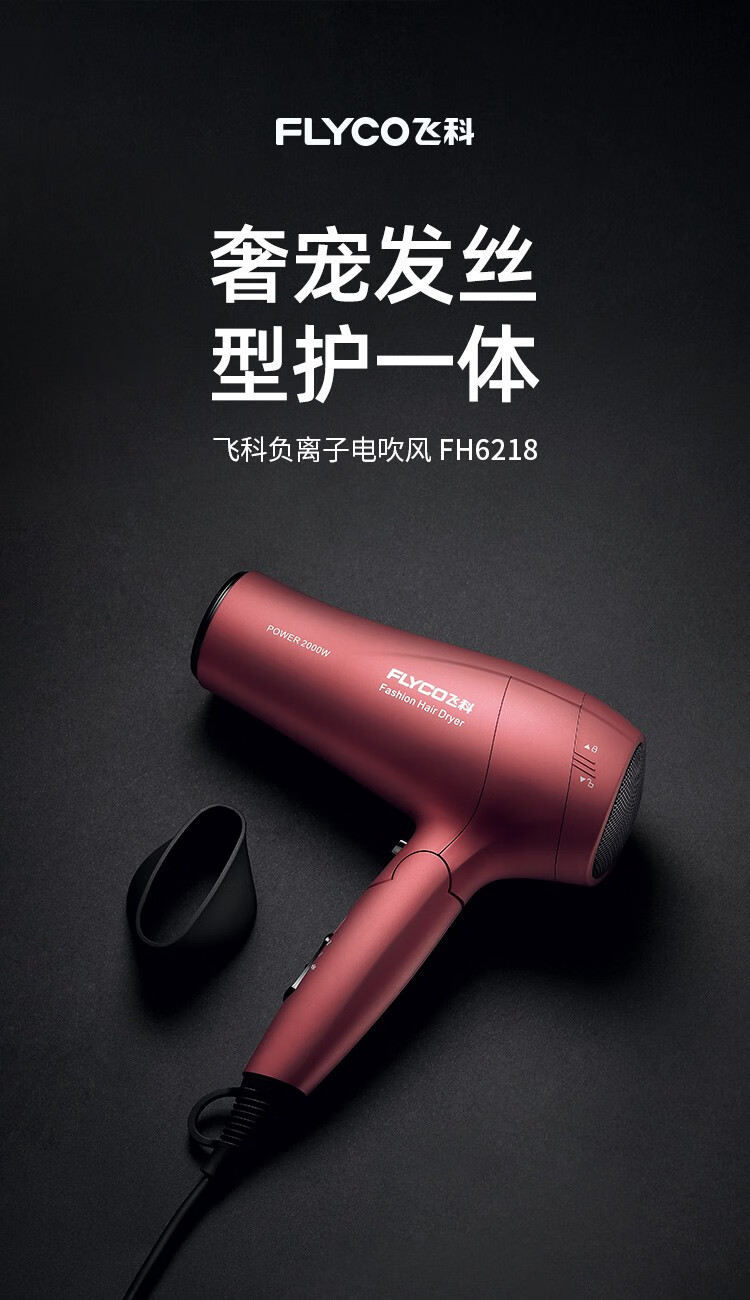 飞科flyco电吹风机家用不伤发负离子便携式大功率发廊吹风筒学生fh