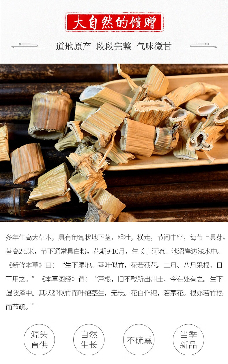山林百草 芦根茶新鲜干芦苇根干芦根生芦根搭苍术金银花清口气茶 芦根