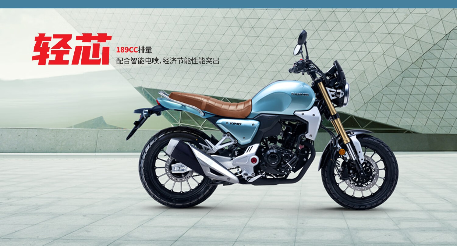 定金大阳天昴dy2008复古车200cc水冷电喷摩托车cbs铝轮玛雅红金属黑