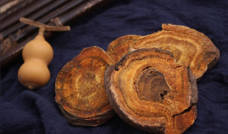 世斛堂大黄中药材马蹄大黄掌叶大黄火参锦纹可代磨粉可搭配芒硝外敷