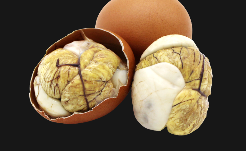 活珠子13天新鲜毛鸡蛋熟食毛蛋鸡胚蛋钢化蛋开袋即食30枚