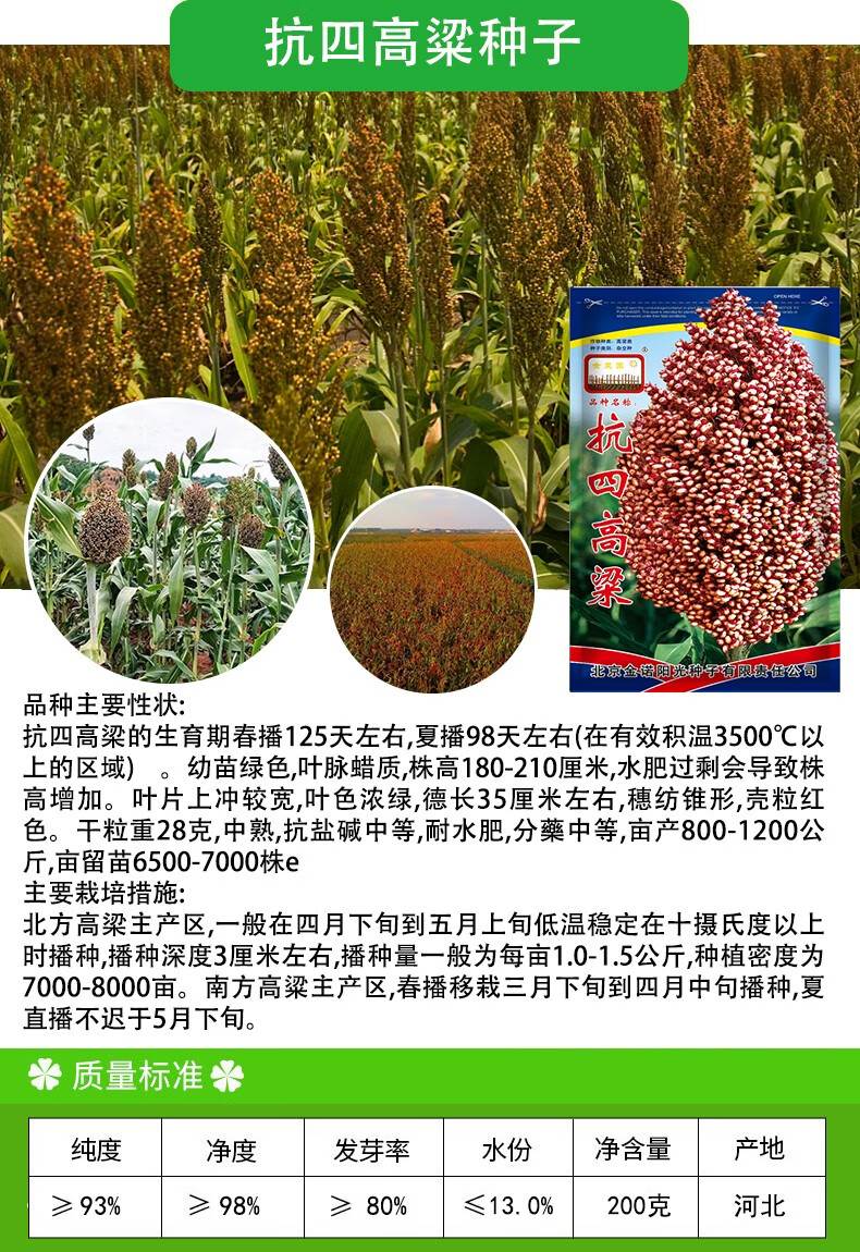 凤鸣雅世 甜高粱种子八棵杈好吃高粱种子酿酒高粱种籽红缨子高产矮杆