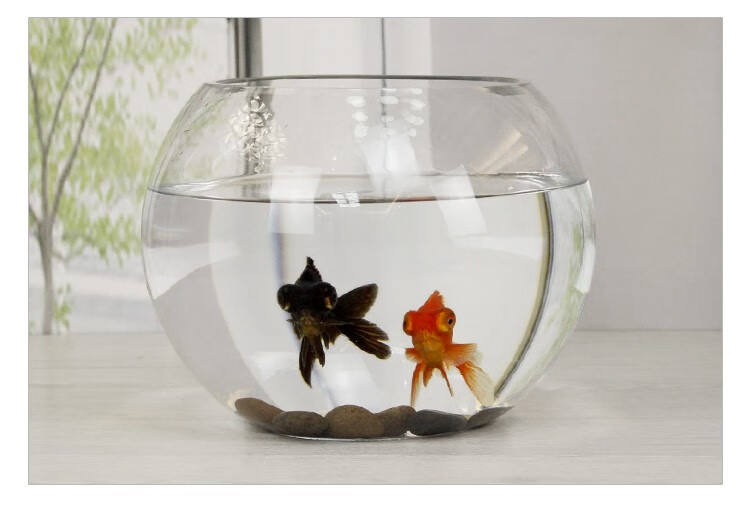鱼缸养花简单玻璃桌上小型创意室内客厅椭圆形扁口水族馆家用斜口120