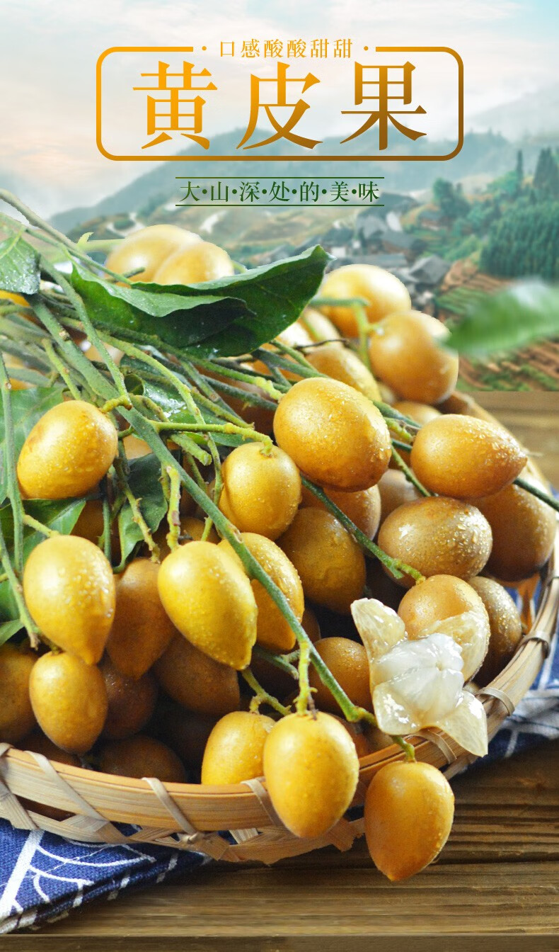 广西新鲜黄皮果鸡心黄皮黄弹子当季水果3斤家庭装泡沫箱冰袋保藏运输