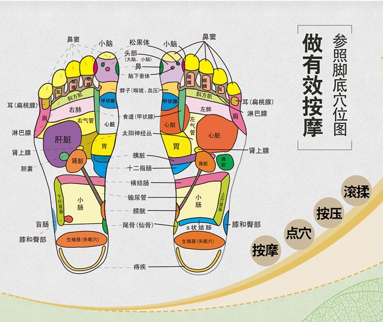 家用足底按摩器滚轮式脚底脚部穴位按摩不求人孝敬老人礼品非木质