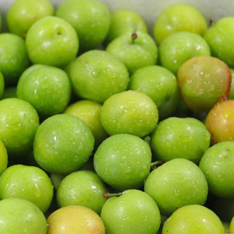 只卖精品三月李三华李酸脆李子新鲜水果精品果带箱5斤