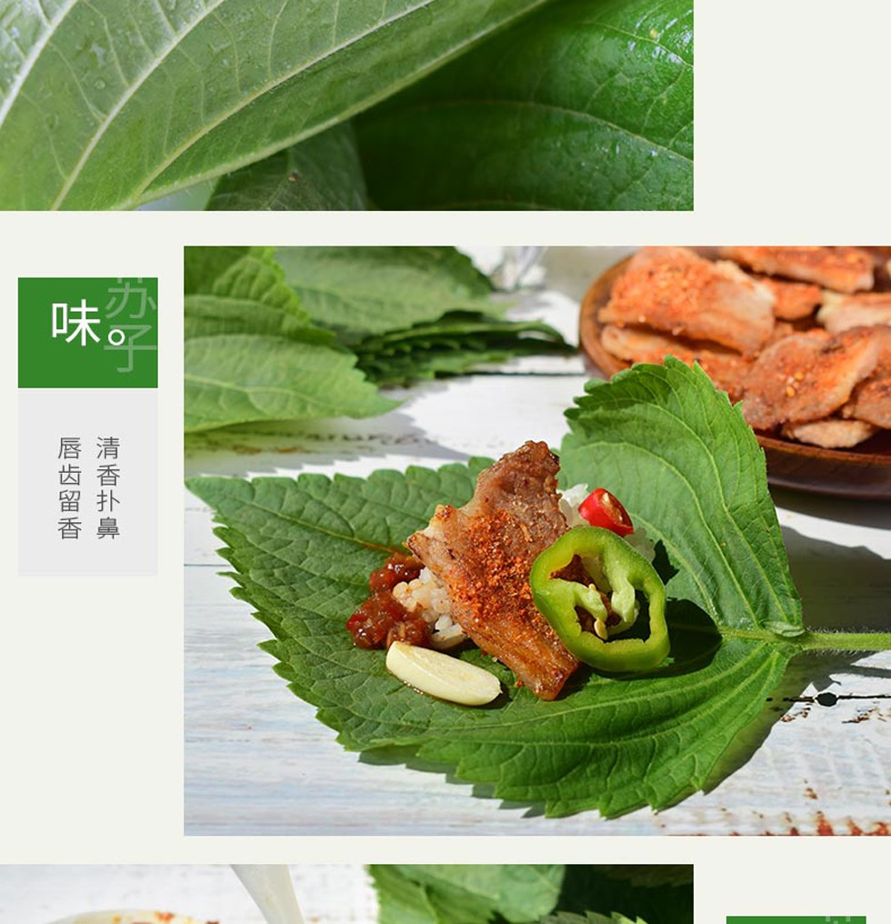 顺丰苏子叶新鲜韩国烤肉紫苏叶食用包饭青菜紫苏蔬菜500g