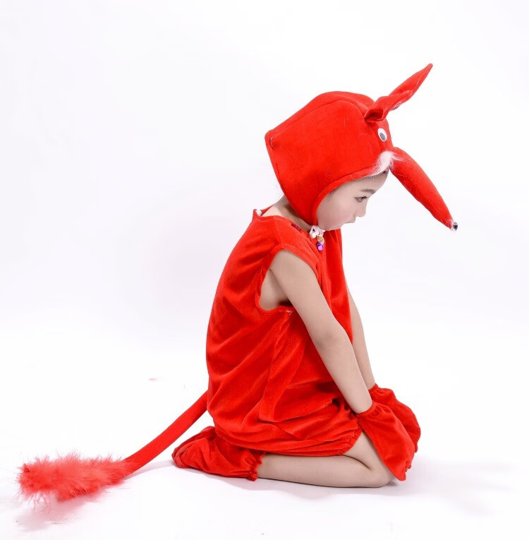 夏尔维纳儿童表演服 课本剧卡通造型服 红狐狸动物演出服装 小狐狸