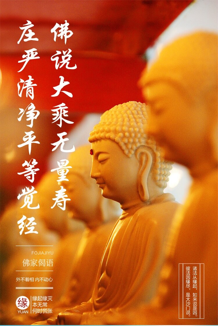 派榜 佛说大乘无量寿庄严清净平等觉经大字拼音 中华经典诵读教材