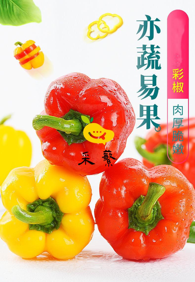 山东新鲜彩椒圆辣椒五彩红黄灯笼椒蔬菜 3斤【图片 价格 品牌 报价】