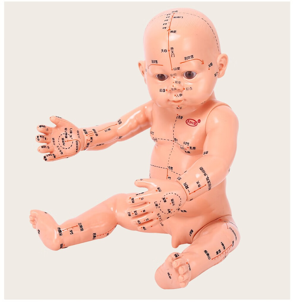 子彧ziyu小儿推拿穴位模型仿真婴儿假宝宝带穴位娃娃推