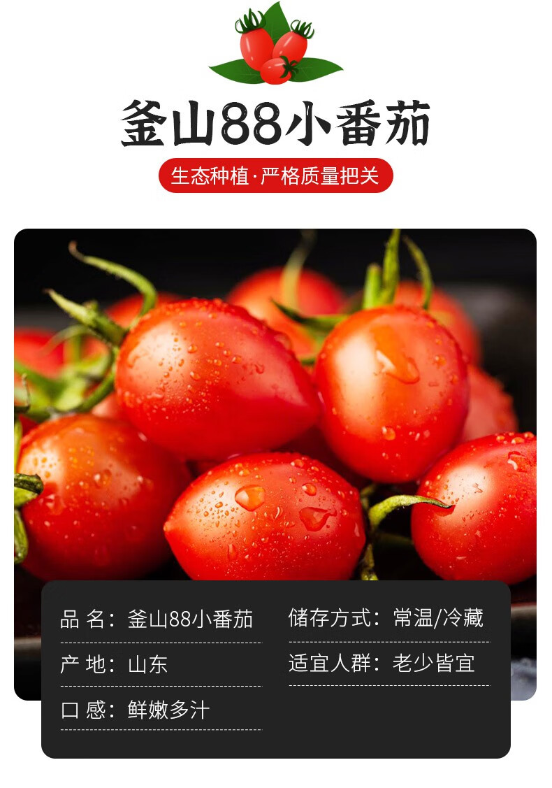 山东新鲜圣女果釜山88圣女果玲珑小番茄小西红柿 釜山88 5斤【图片
