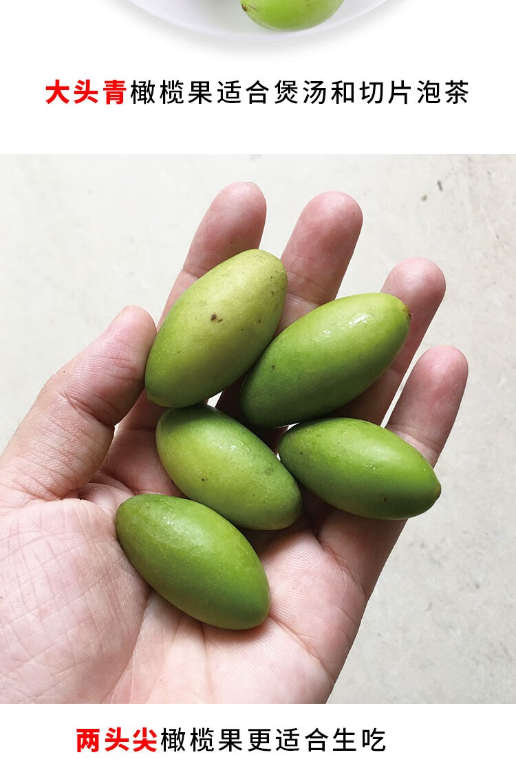 新鲜潮汕青橄榄500g1斤装生橄榄大头青橄榄果适合生吃煲汤泡茶