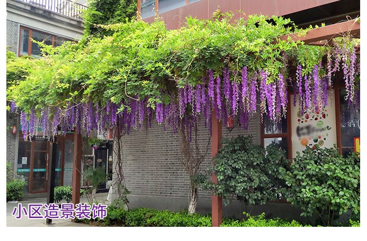 映容 仿真花藤 紫藤花瀑布墙面装饰假花紫罗兰绢花吊顶绿植藤条客厅