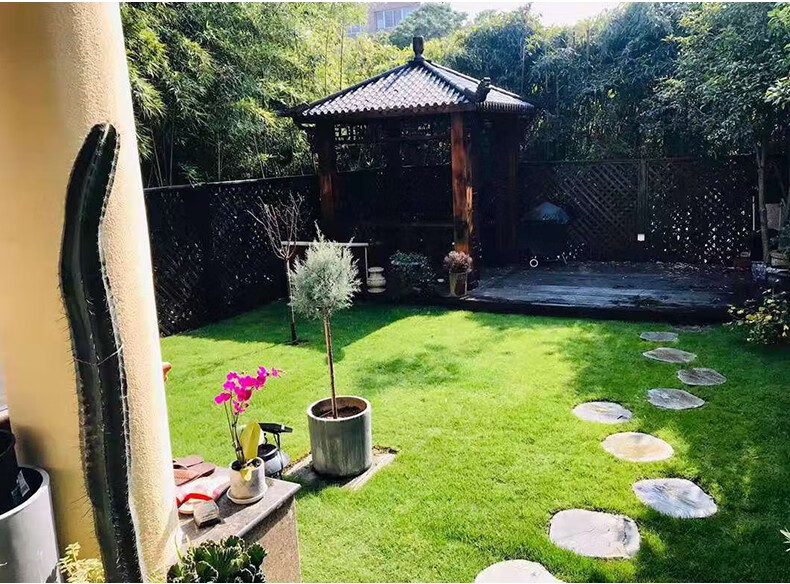 惠园逸景 草坪草皮绿化带泥土真草坪四季青果岭草剪股颖庭院别墅花园