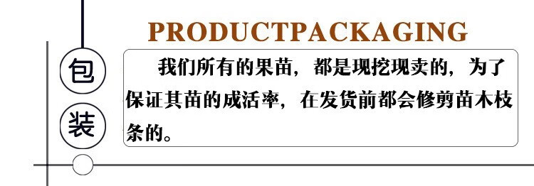附近果树苗出售电话