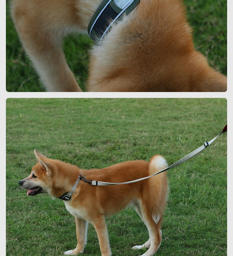 玄鸟专业宠物项圈狗圈小型犬脖圈大型犬颈圈防勒中型泰迪户外用品酒