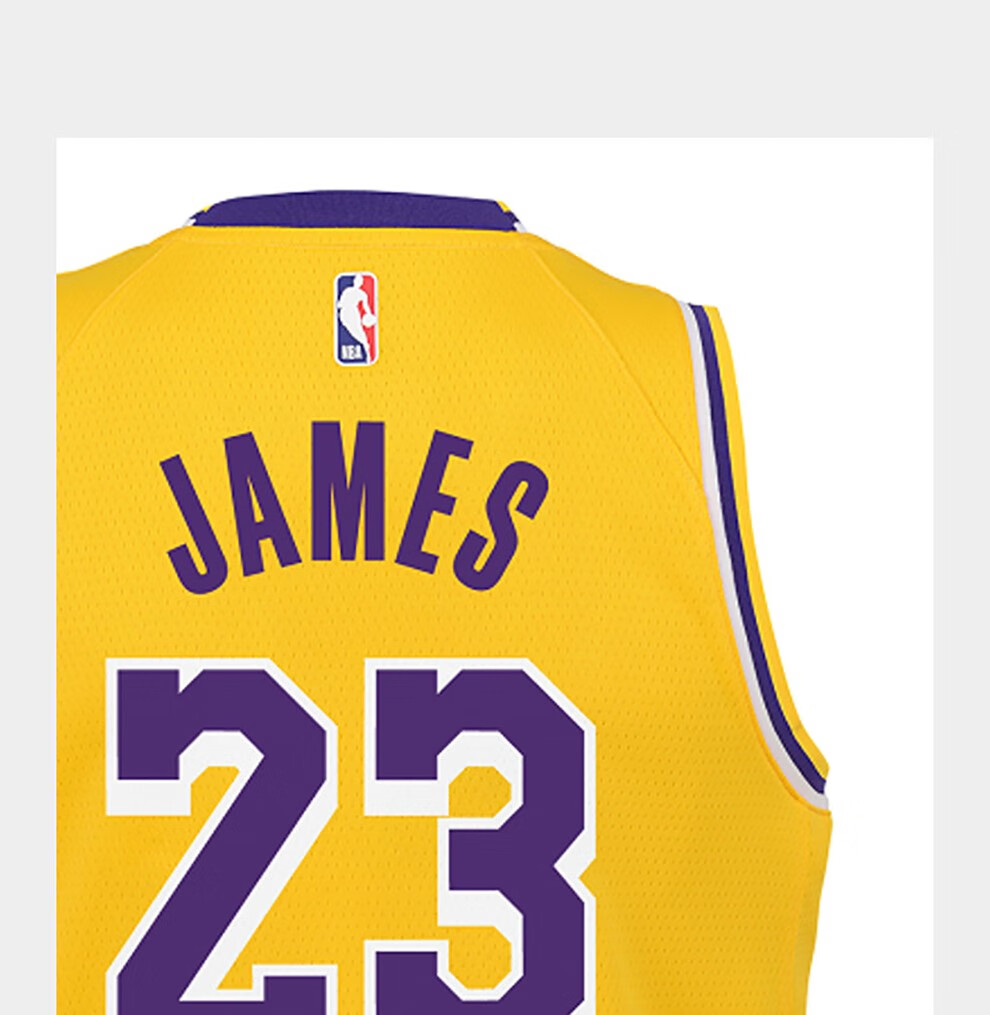 nba 洛杉矶湖人队 勒布朗 lebron james 球服 (童服