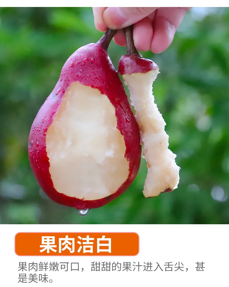 稀有品种红啤梨新鲜梨子58斤软糯香甜新鲜水果软梨子太婆梨净重5斤单