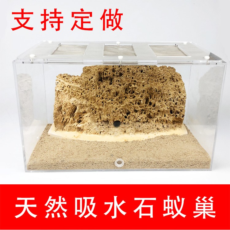 季肋(jilei) 桌面宠物蚂蚁窝天然生态吸水石蚂蚁城堡亚克力蚁巢工坊