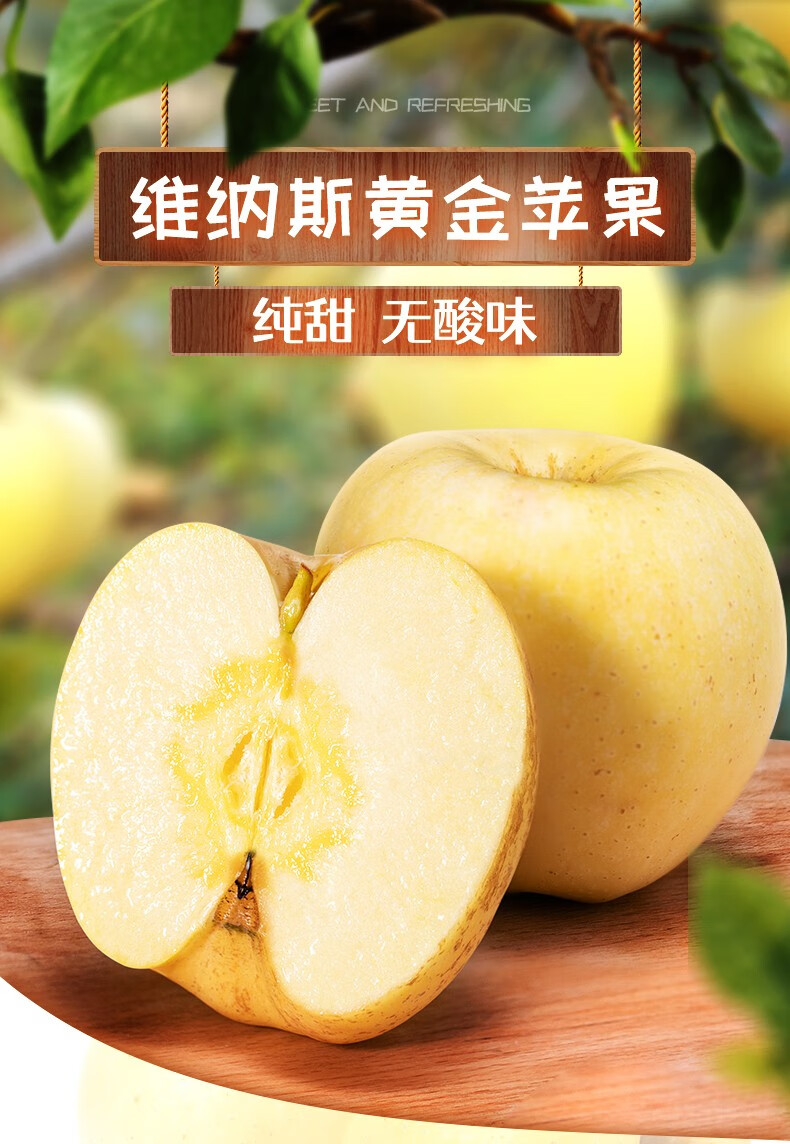 素界 山东威海 脆甜维纳斯黄金苹果 高档礼盒装 3斤普通装【图片 价格