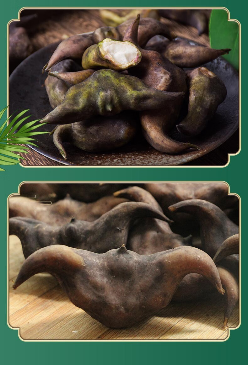 顺丰新鲜菱角现摘粉糯老菱角大青菱角米带壳25kg