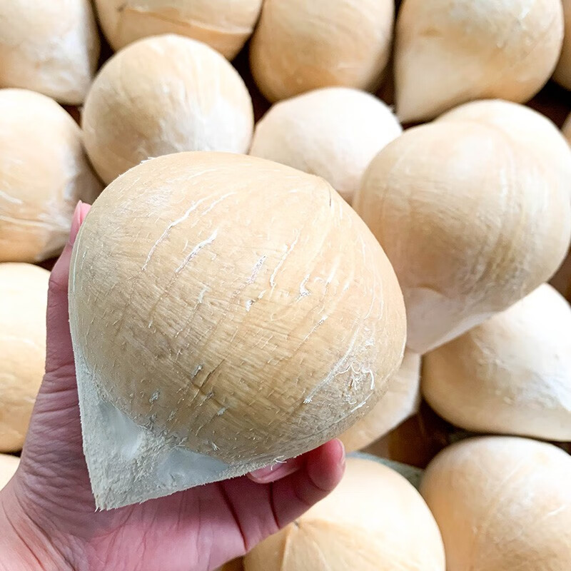 恬女神泰国进口椰青椰皇8只新鲜水果烤椰椰子搞定椰