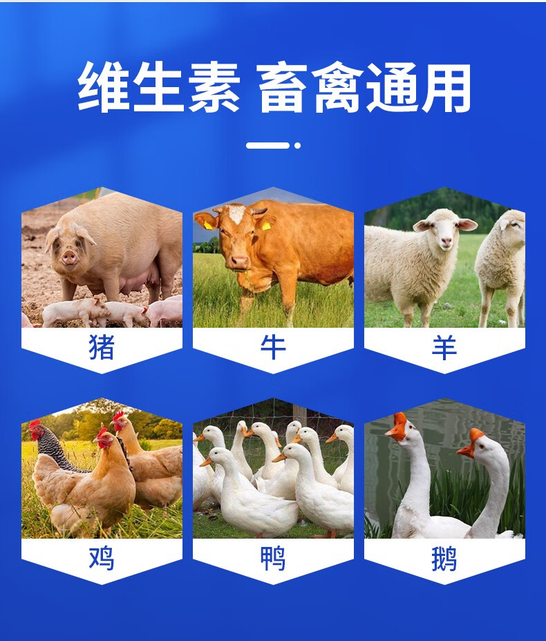 牧品兽用复合维生素b可溶性粉厌食补充维生素b禽畜猪牛羊鸡鸭鹅补充