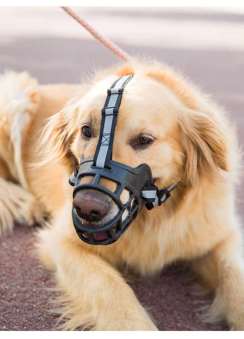 玉洋轩狗狗嘴套狗口罩防咬防叫大中小型犬止吠器防乱吃宠物金毛狗罩